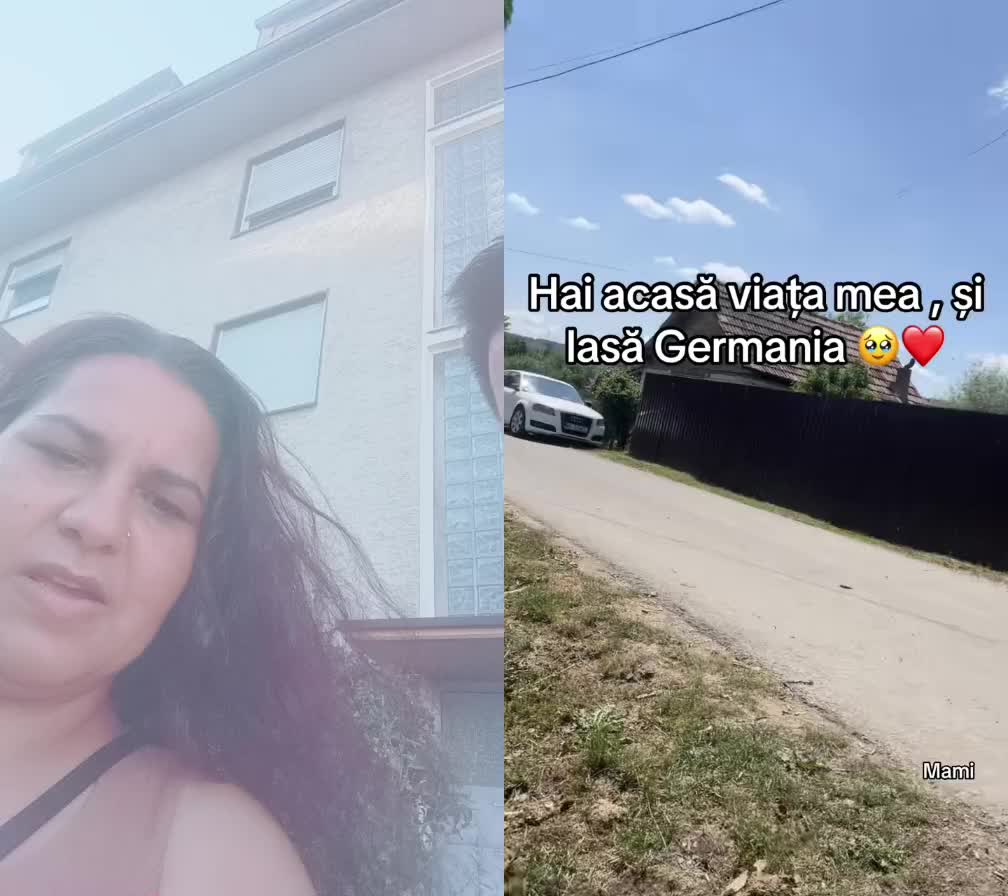 @ana bogdan