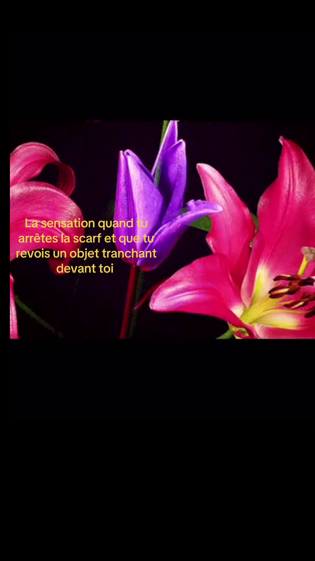@๐ฉ๐ถ๐๐ถ’๐ฆข