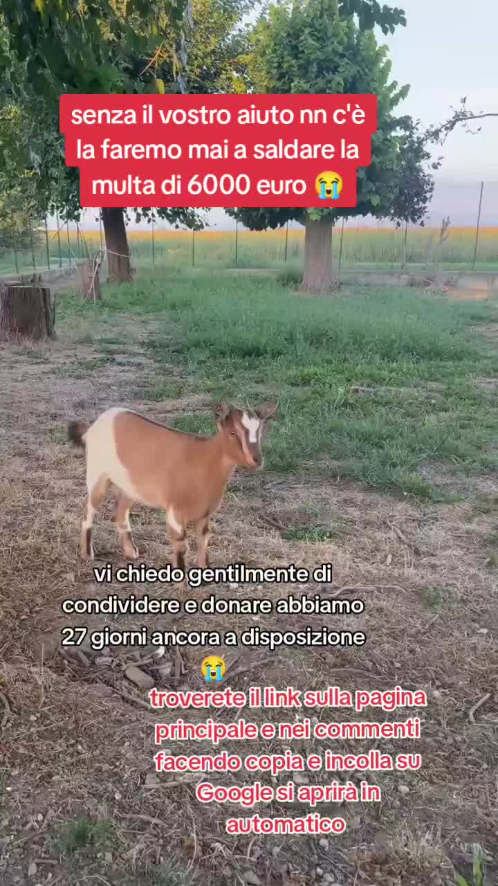 @KIRA❤️LEYLA💙