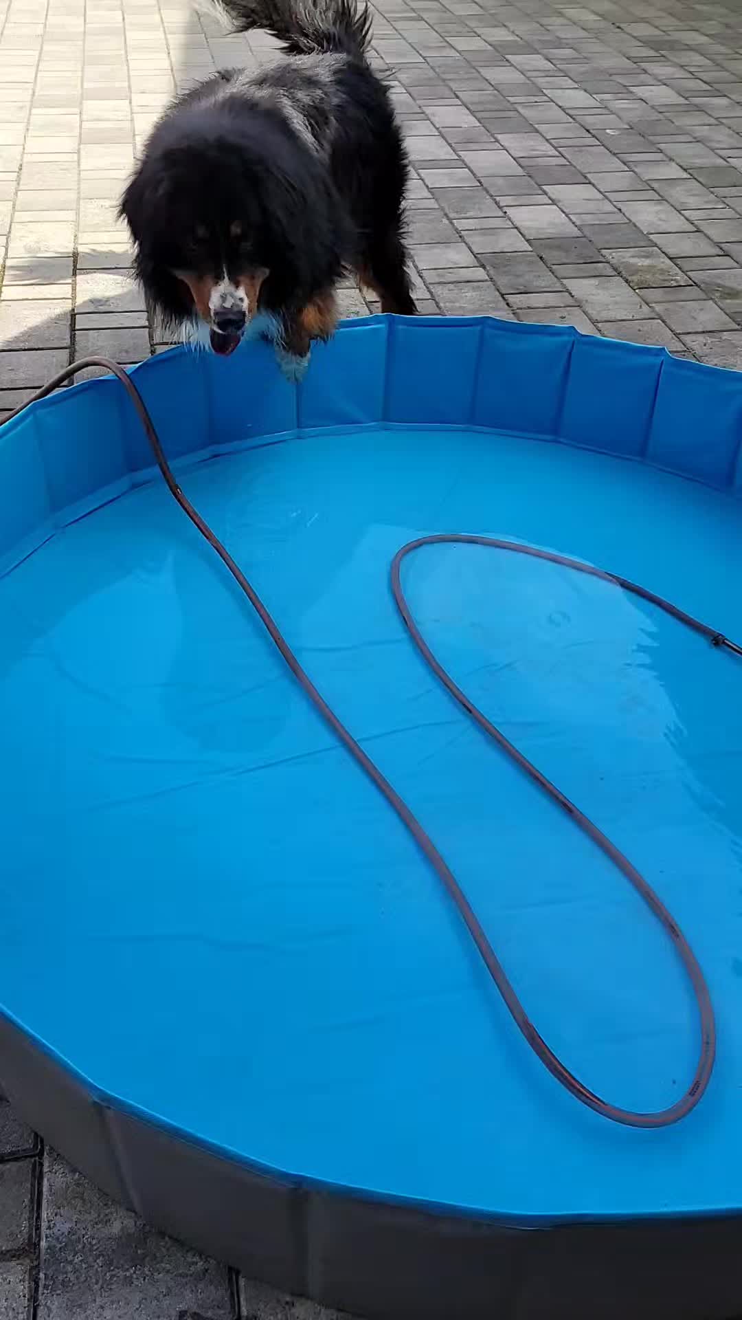 @berner.bruno