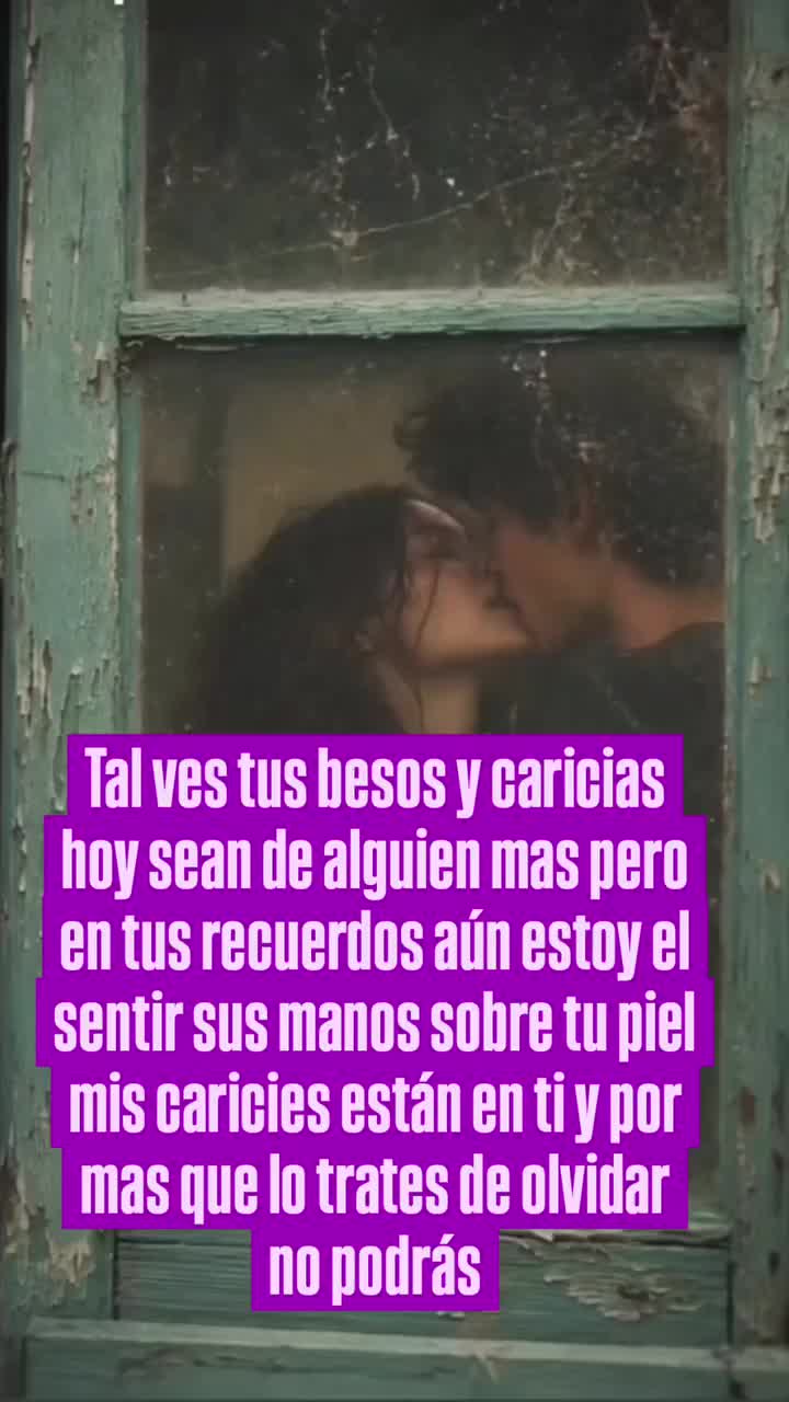 @el panda solitario
