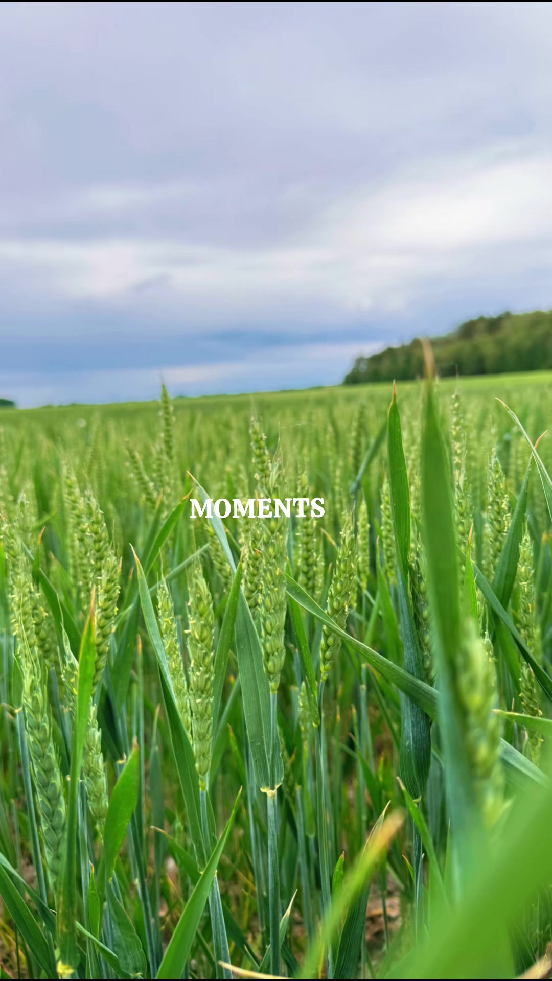 @Sasha🇺🇦John Deere🇺🇦🚜🌾🌽