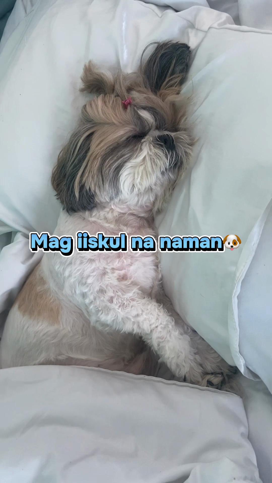 @Baby Oli