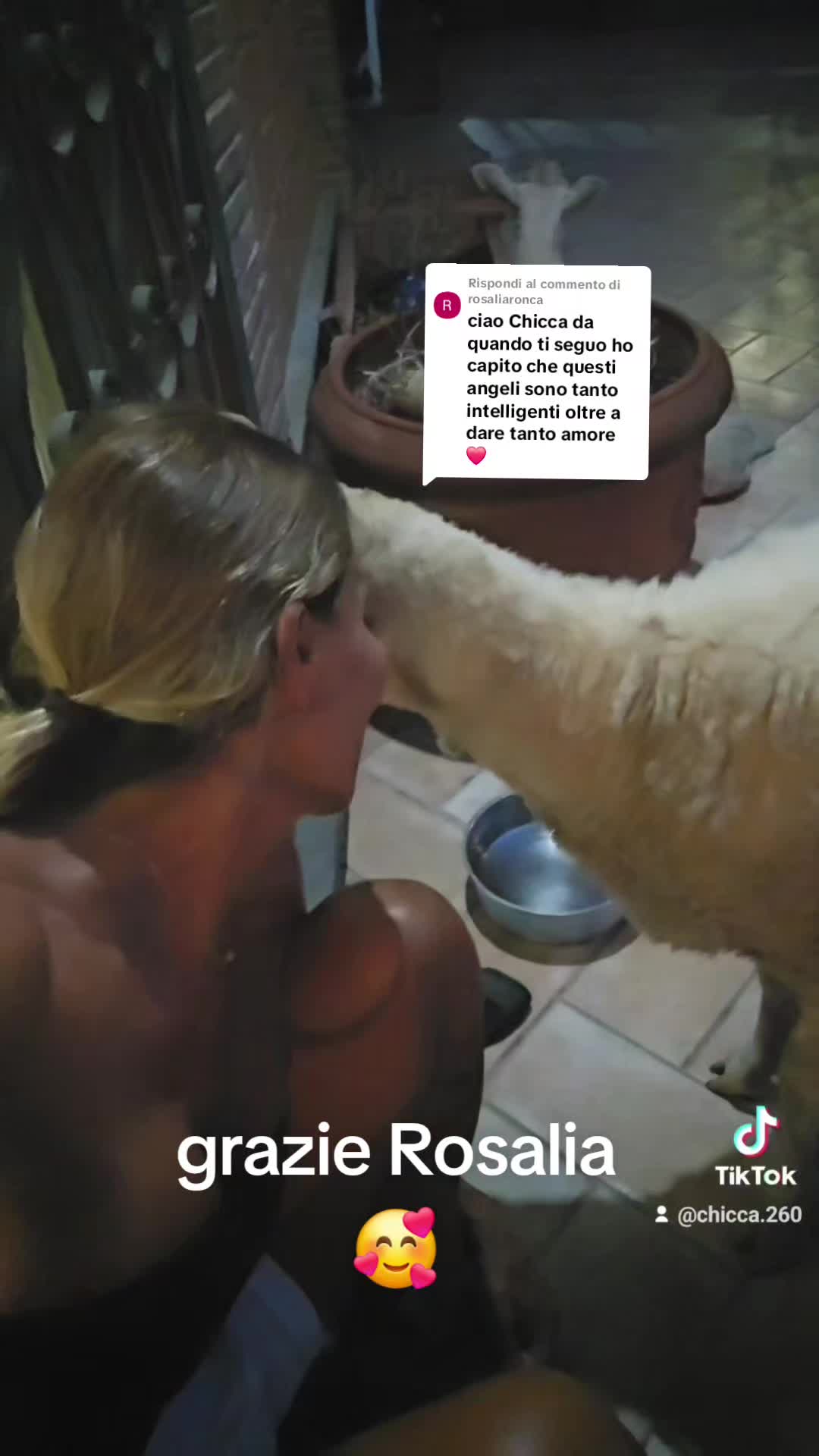 @❤chicca.260❤