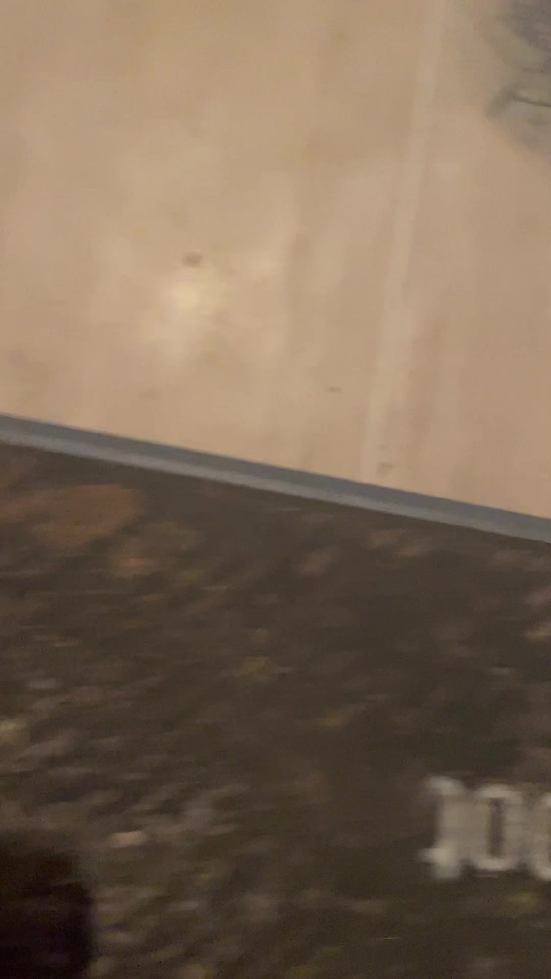 @🙉🙊🙈