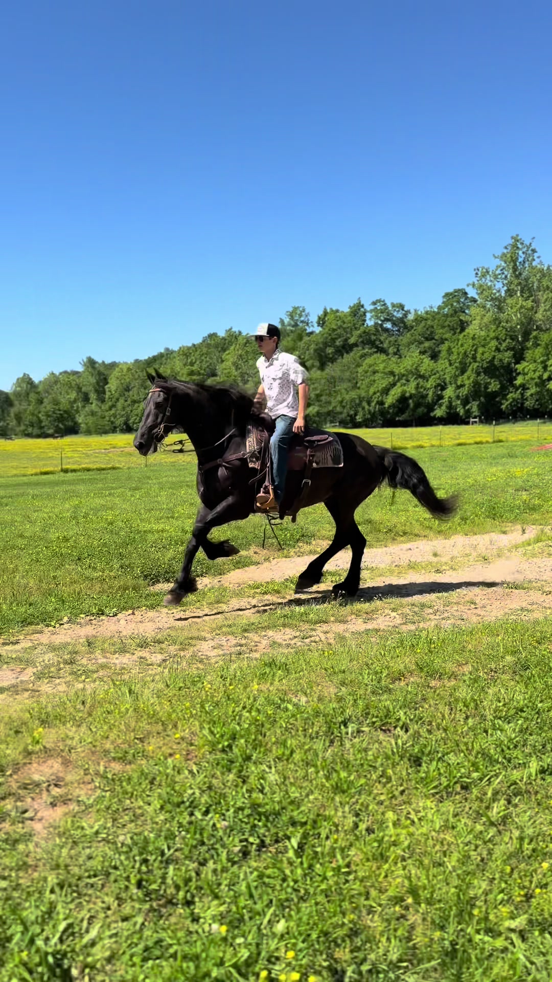 @Lucky D Ranch 🍀