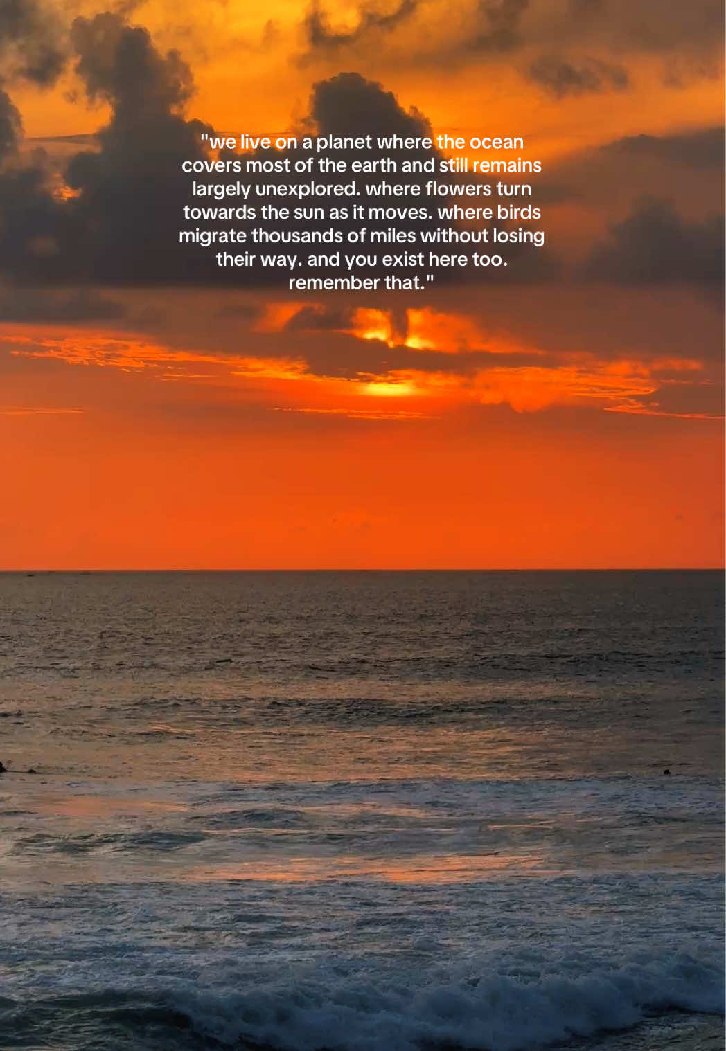 @Lu ☾ | thoughts & healing |