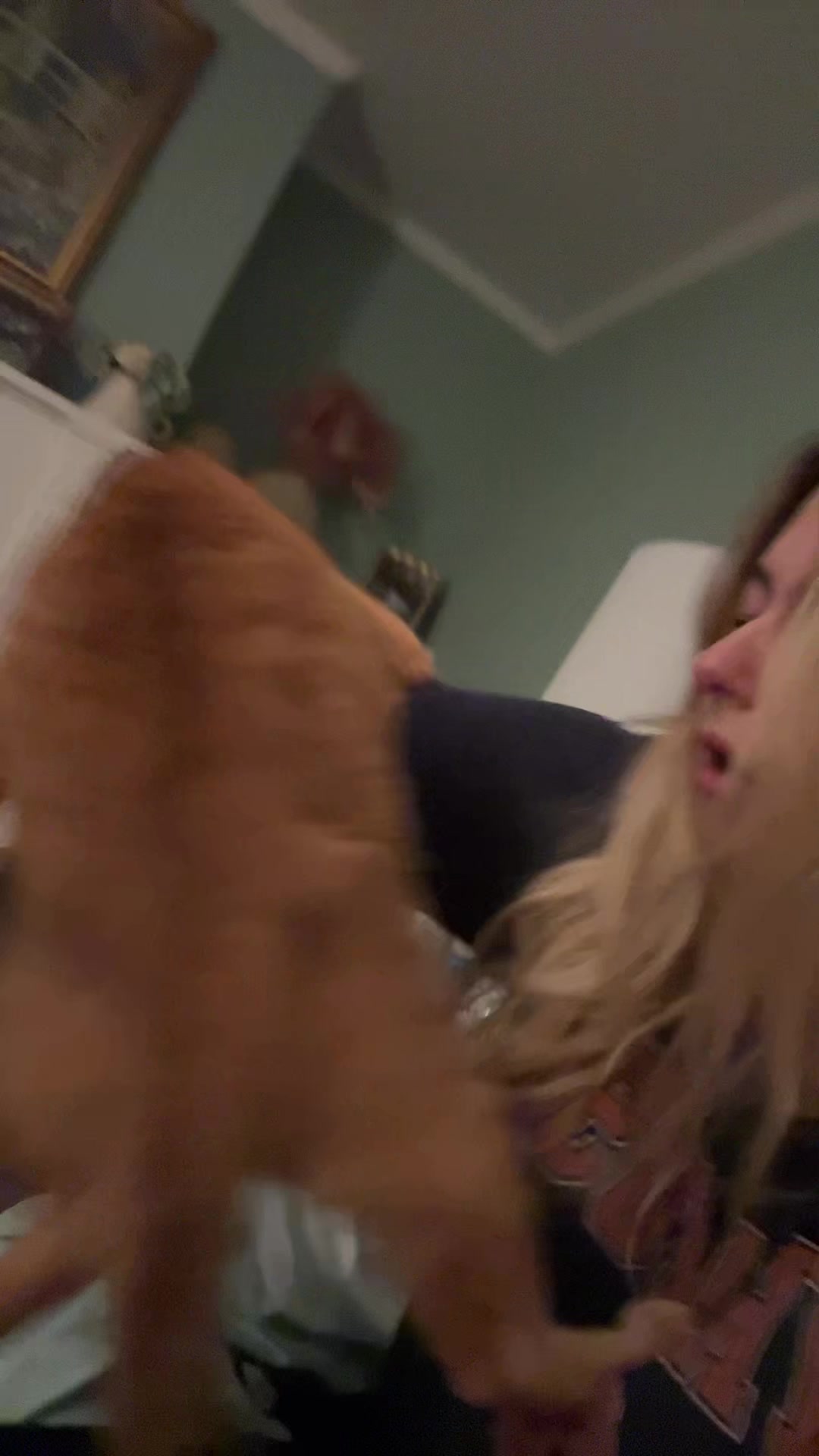 @sophiafrenchfry