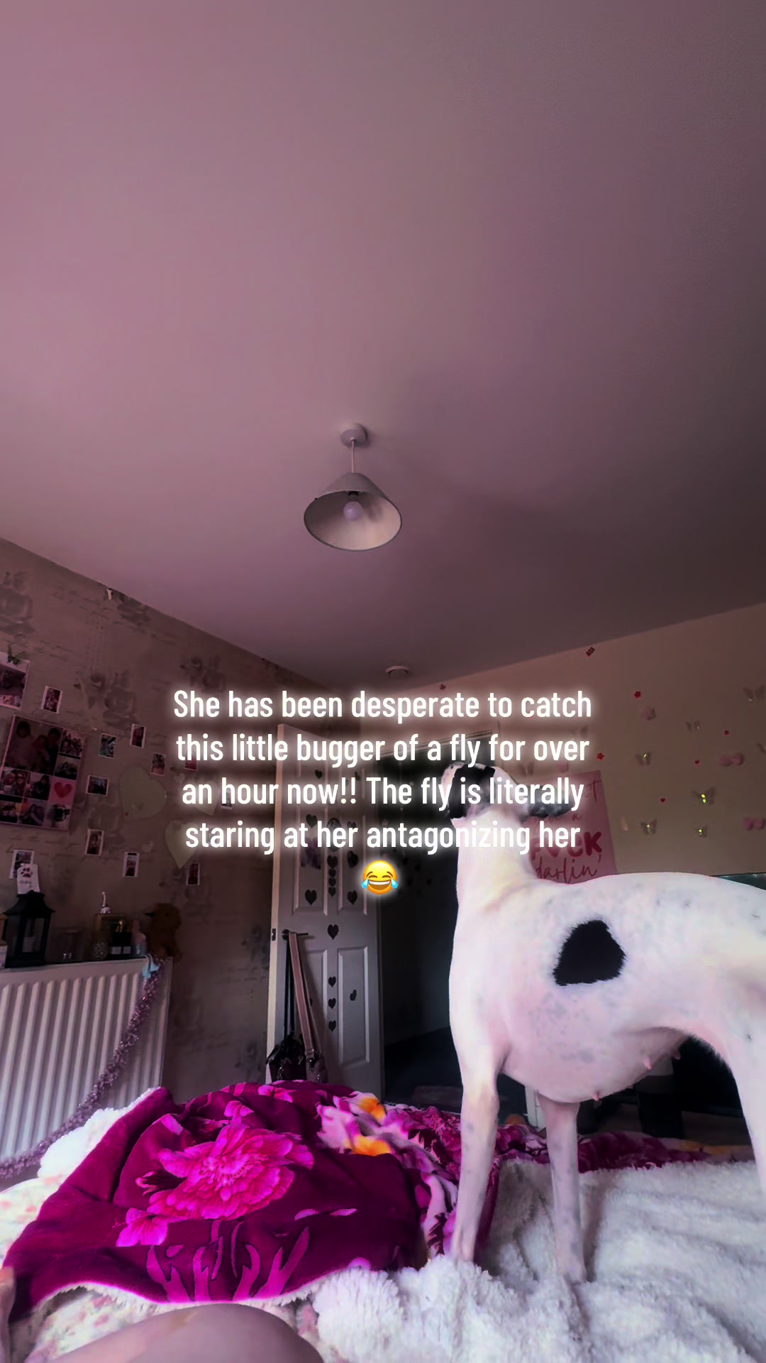 @Sarah~Louise ๐งโ๏ธ