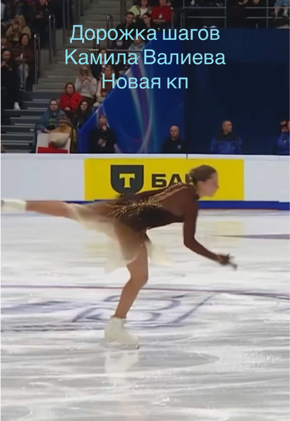 @След на льду⛸️