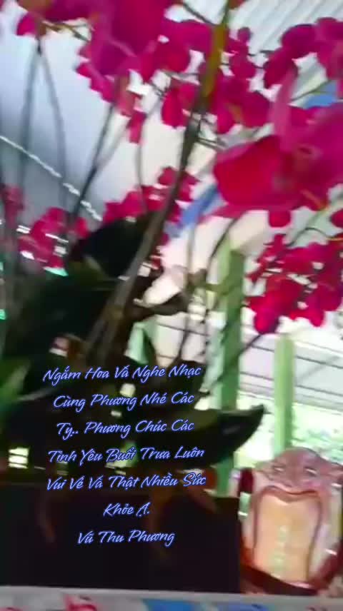 @武 秋 芳. Vũ Thu Phương