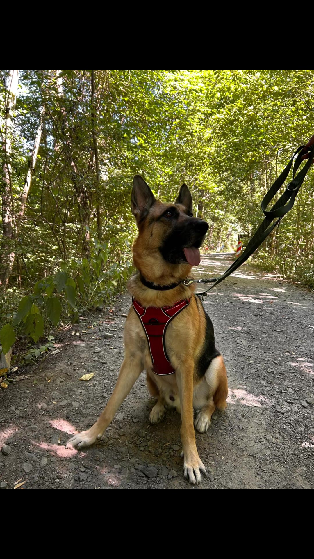 @Hunde- und Katzenpension