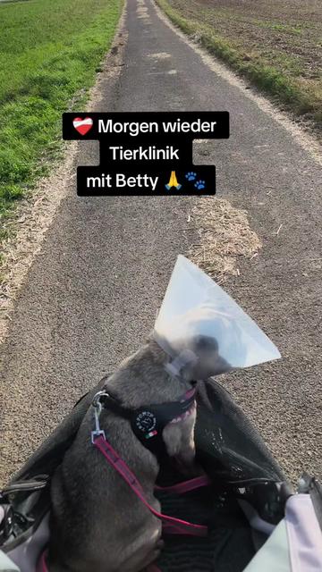 @Dr. Betty Boo