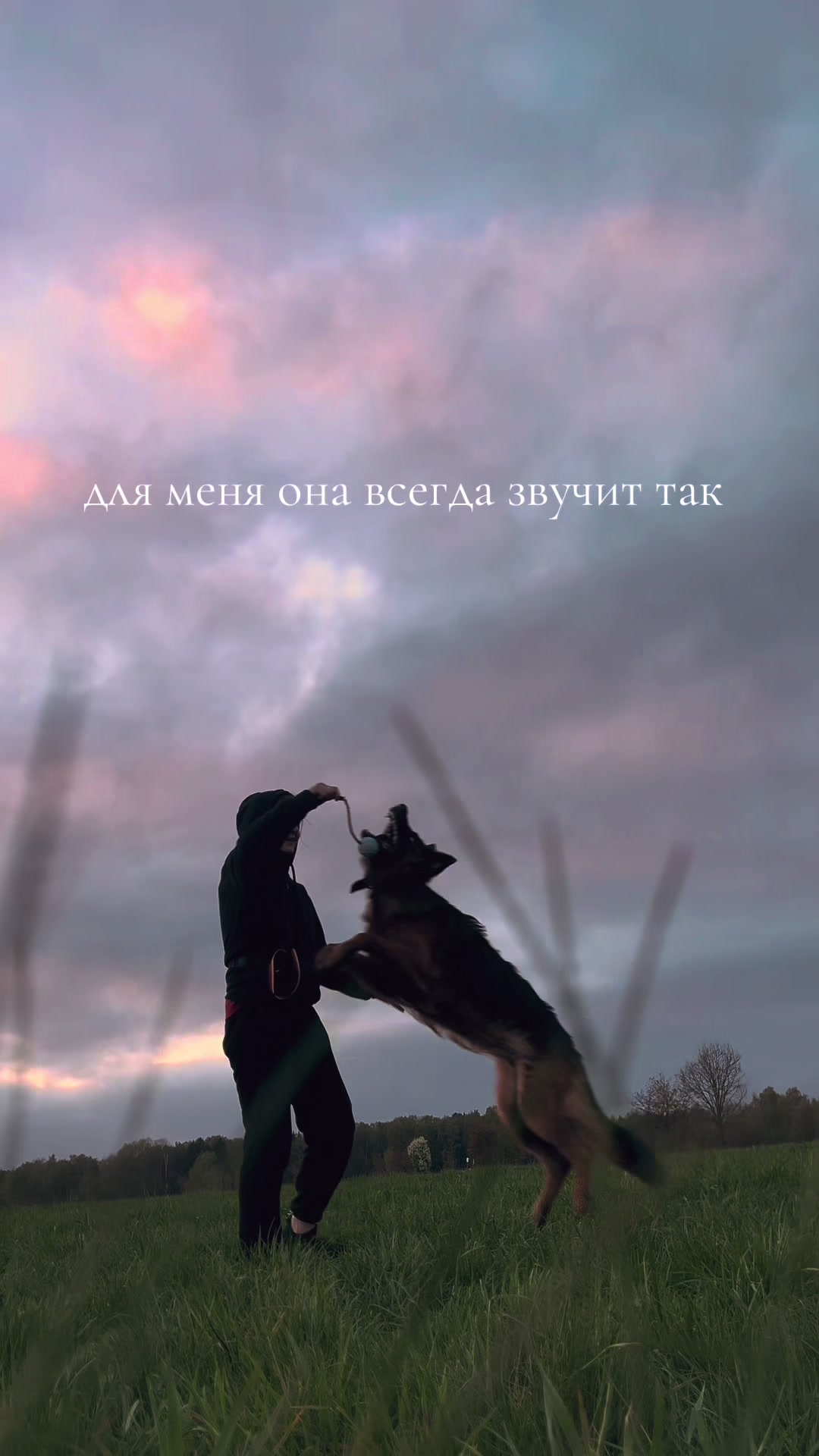 @за лапами