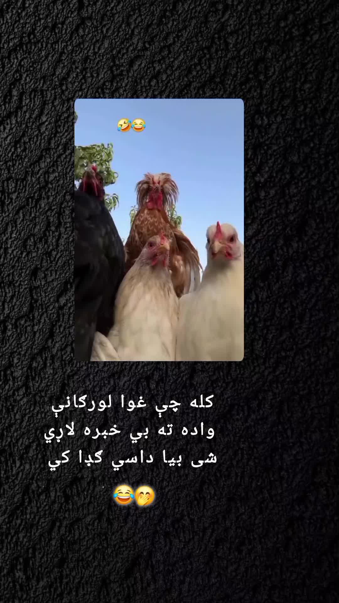 @رهــ🦢ــبر ◡̈⃝🖤