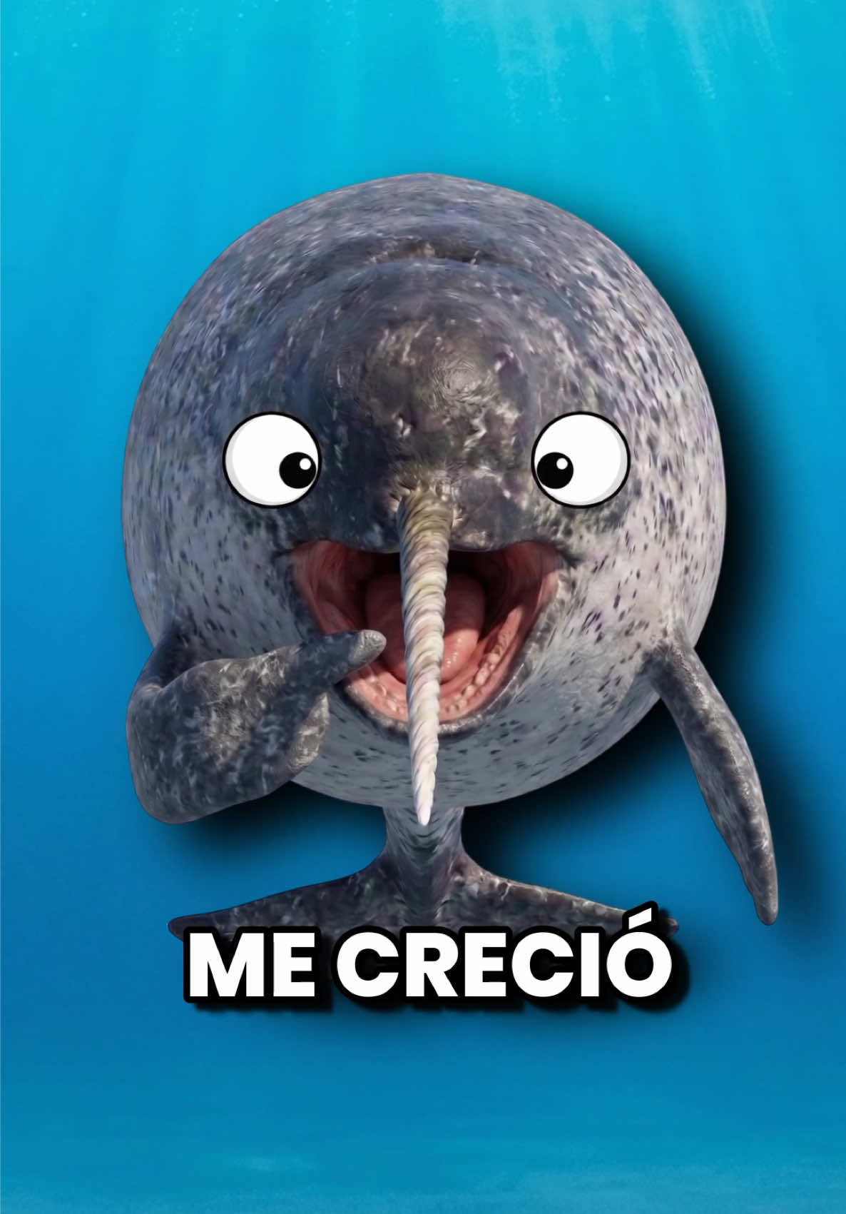 @GabSolf