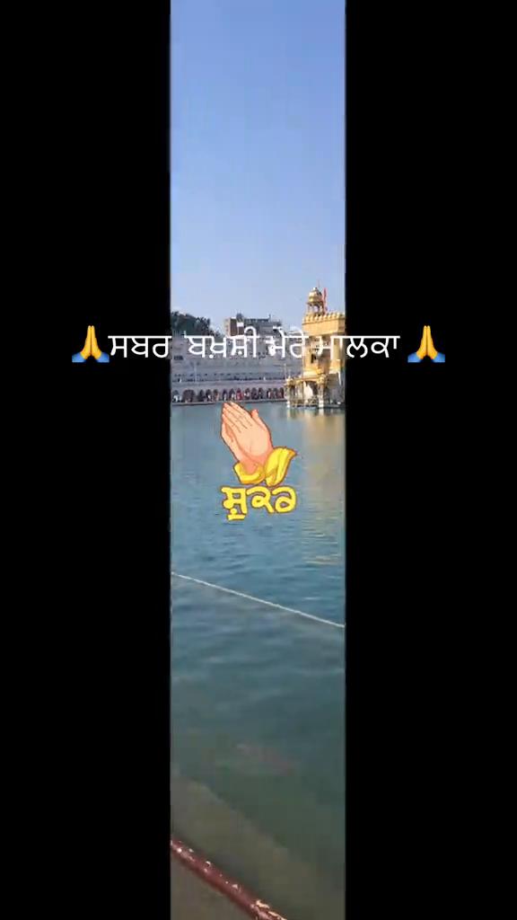 @singh_bobylubana
