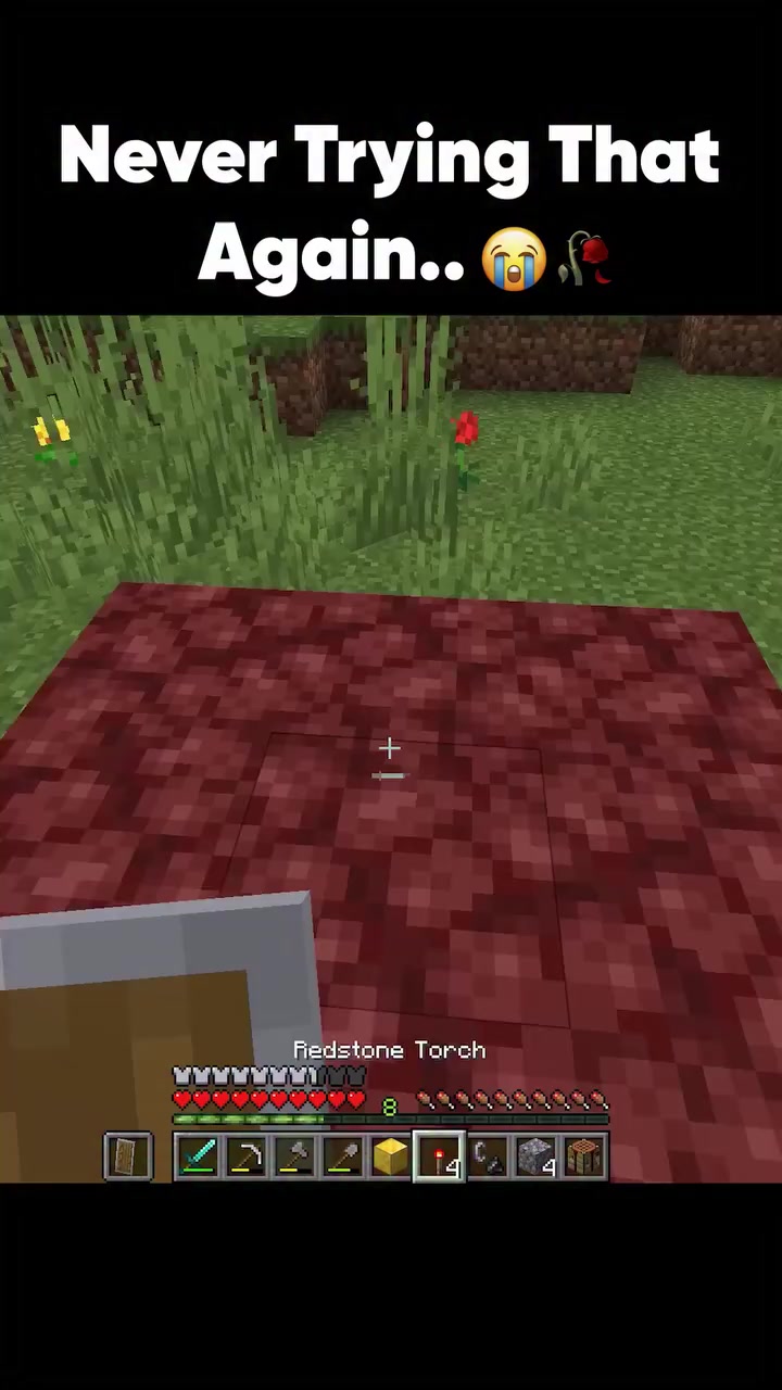 @memesFrominst65