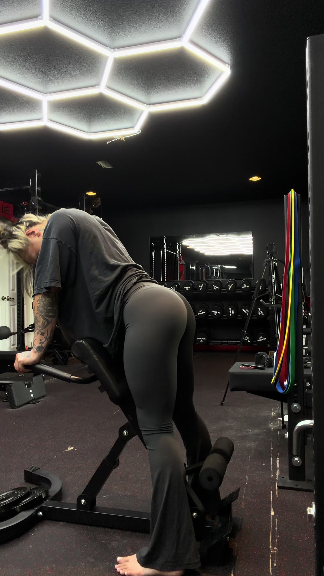 @Sapphirerayn