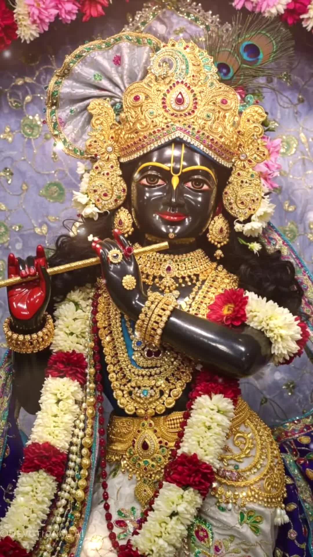 @kuvar Jignesh