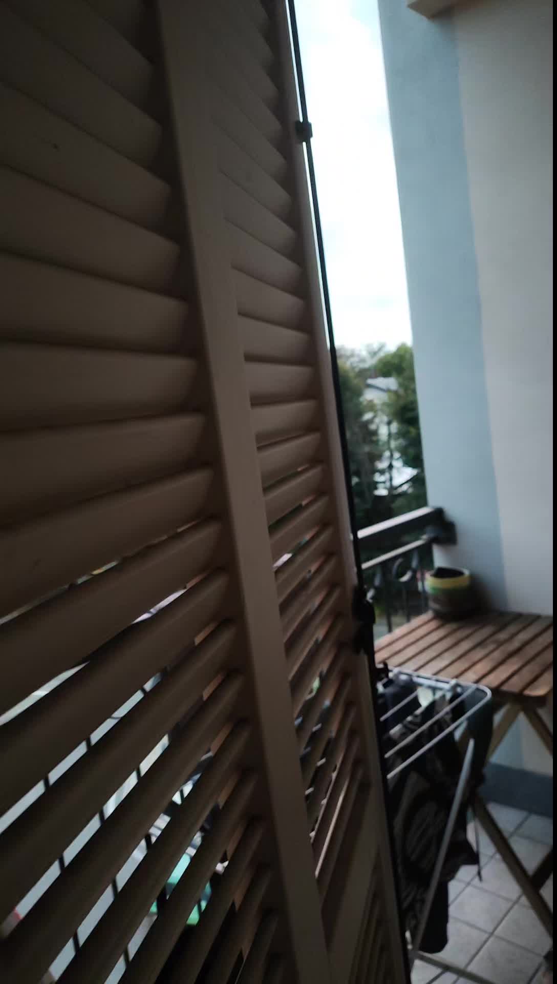 @danivezz