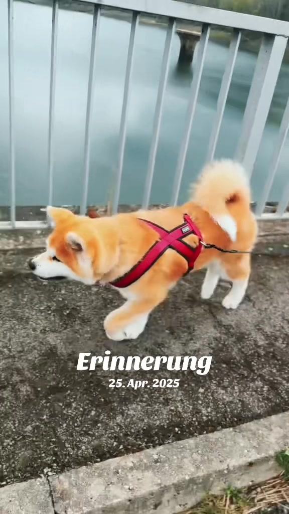 @Kumiko_and_family