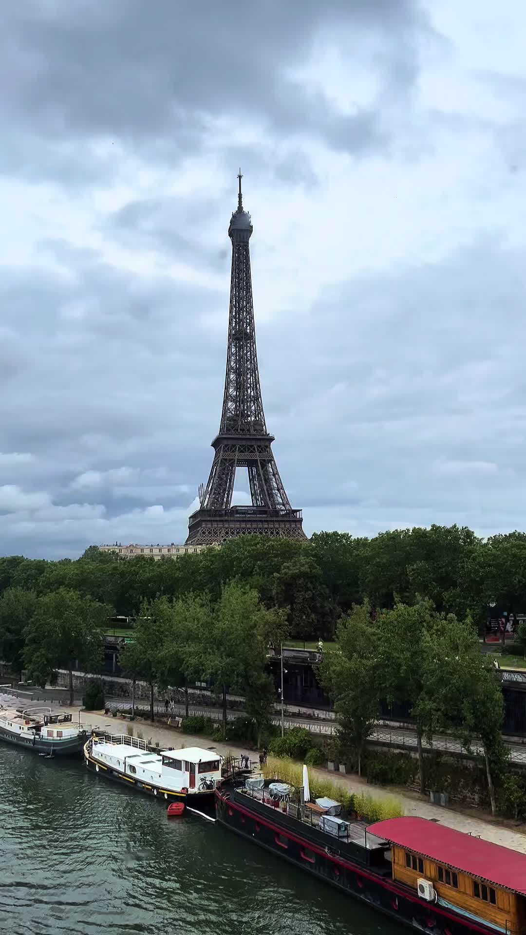 @🐍