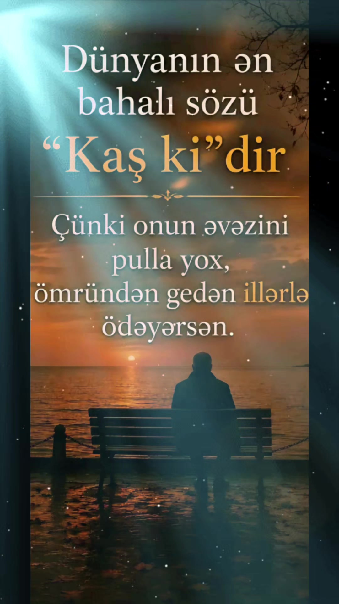 @Toma.T