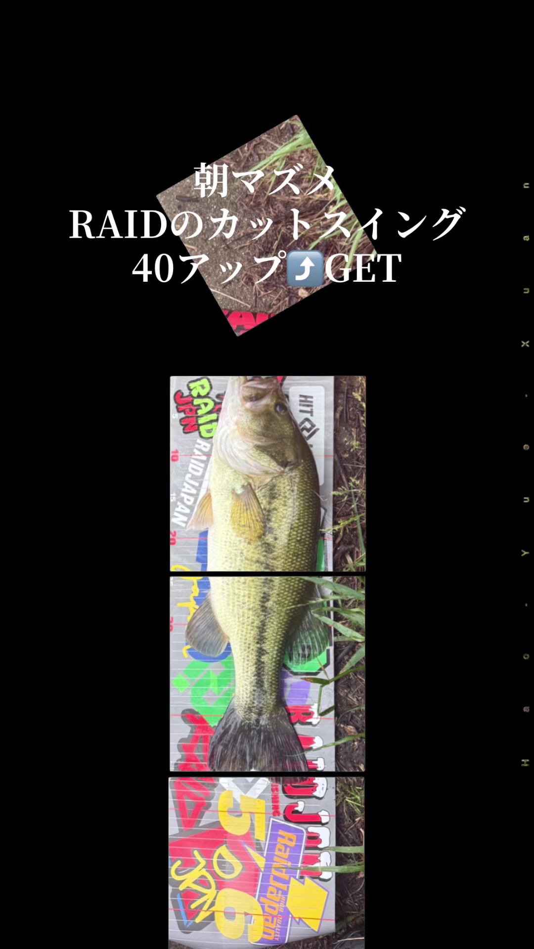 @片田舎のおっさんブラックバスを釣る