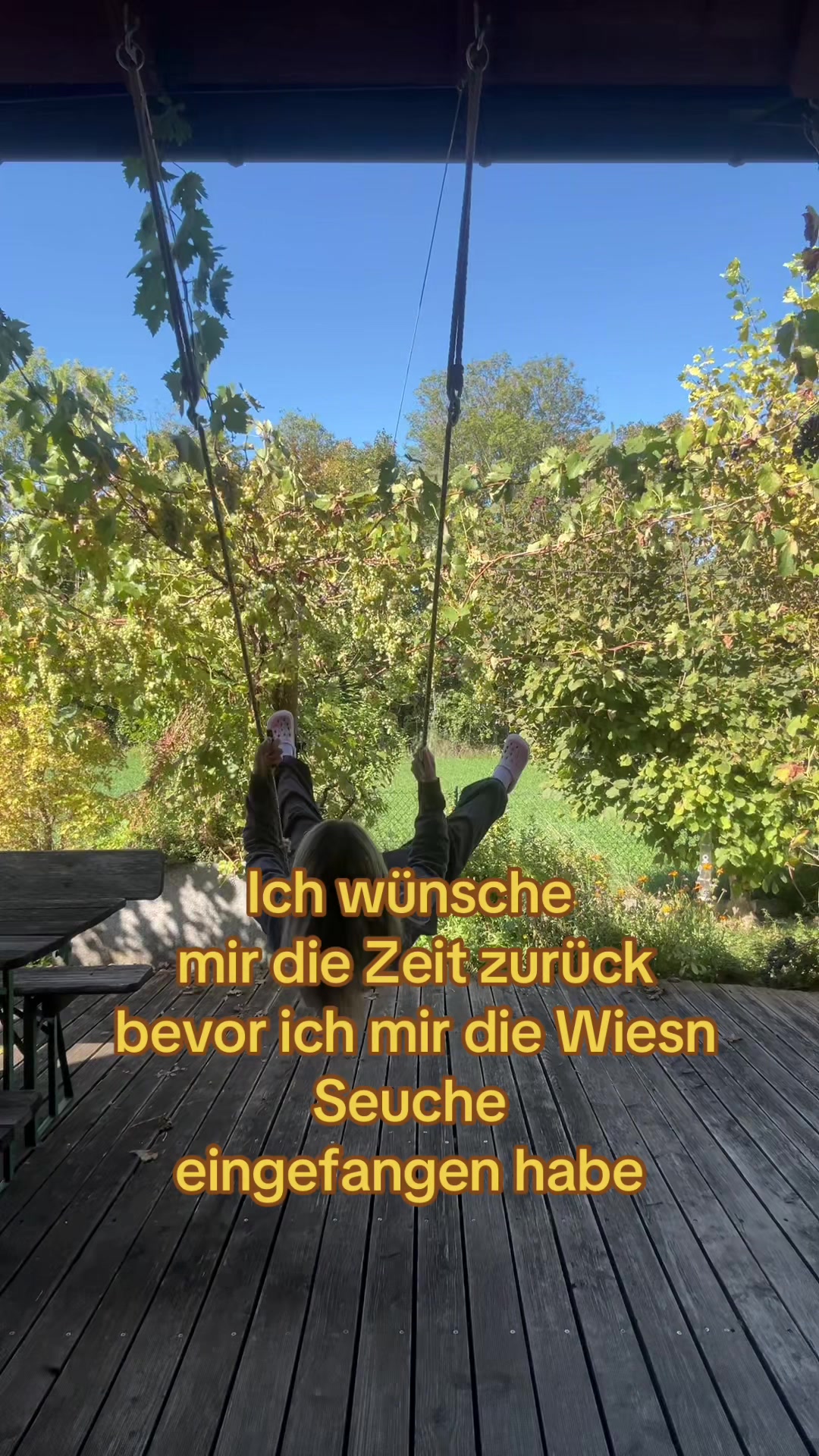 @nassiba