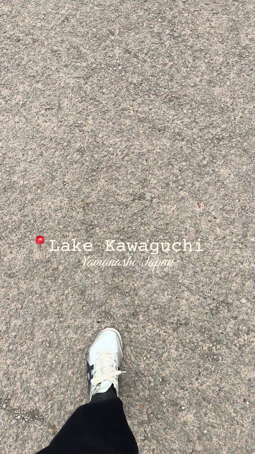 @ᥫ᭡_marie ⋆.