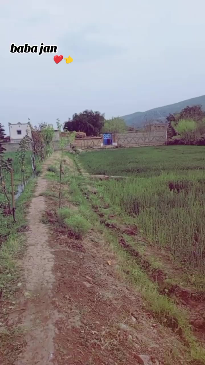 @✴️᭄🇩ᴬᴺᴳᴱᴿ🦅ھنگووال🇦🇫