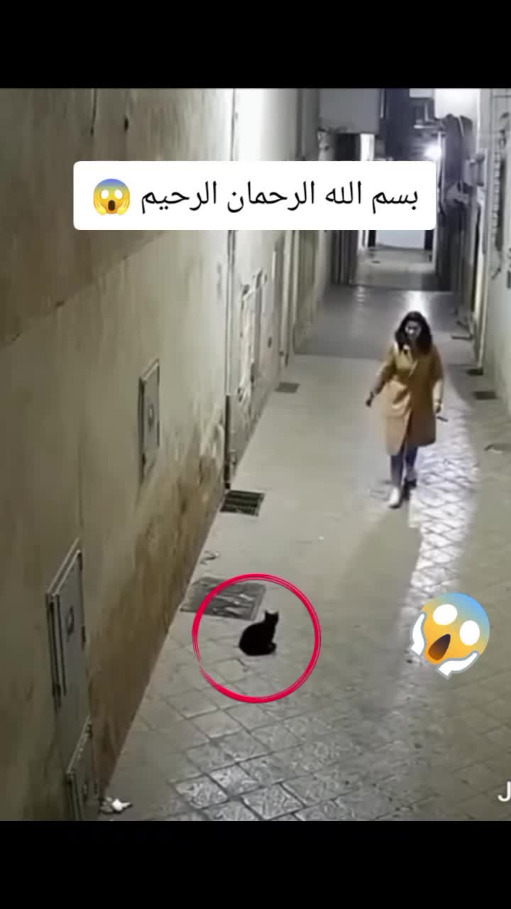 @(☝️الشيخ عبد العزيز ☝️)