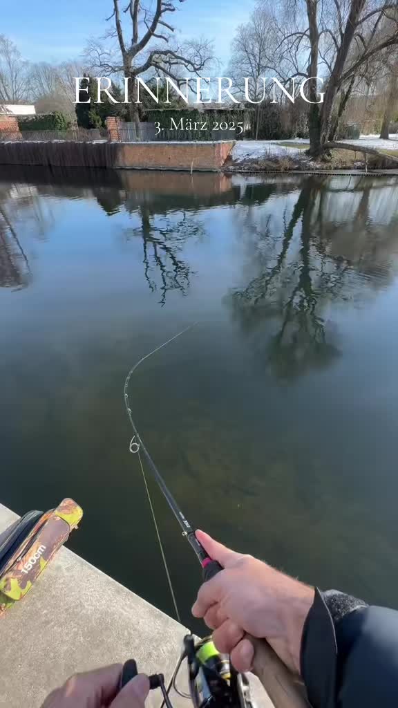 @Fischbulette