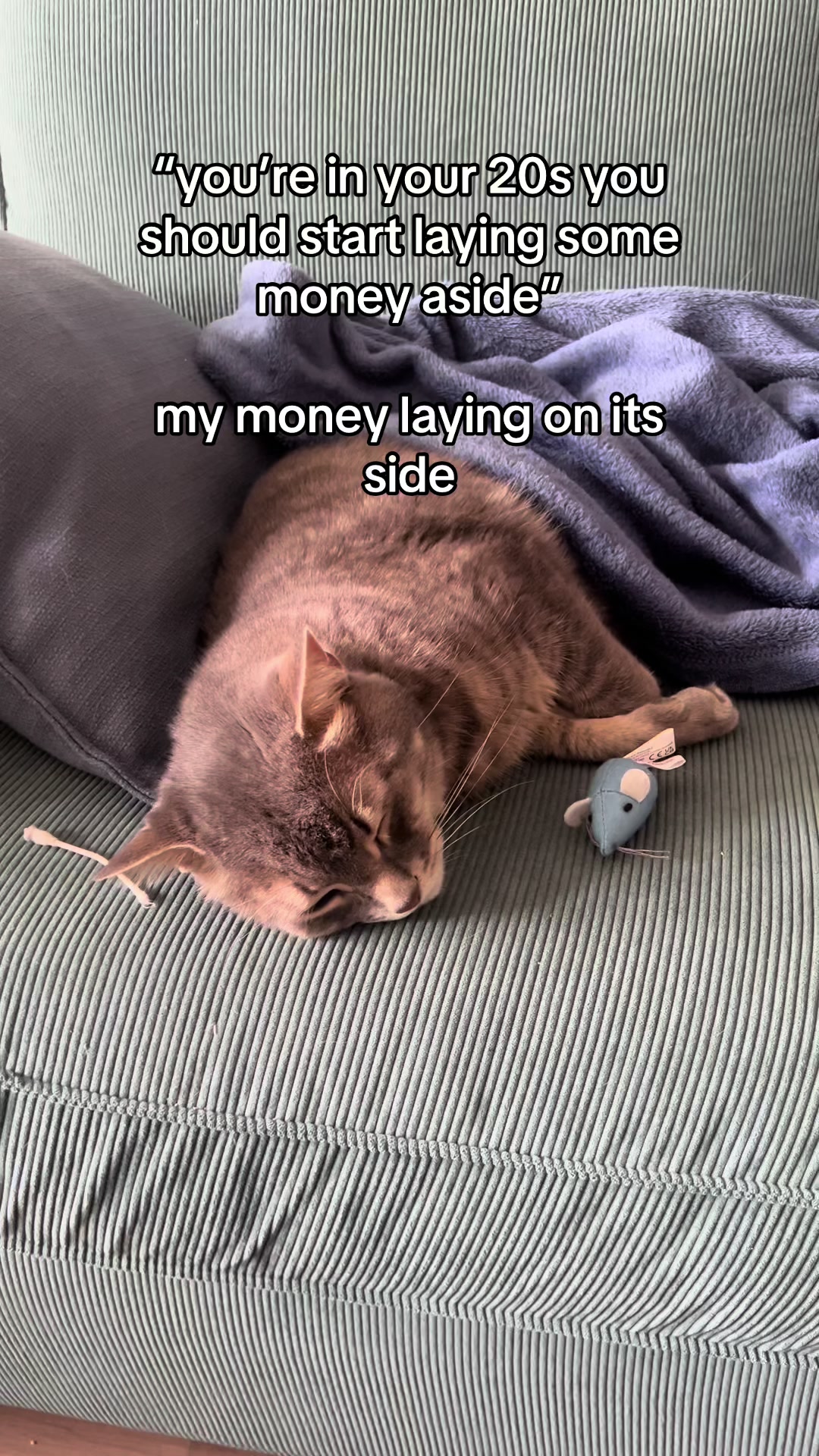 @Ollie 🐱