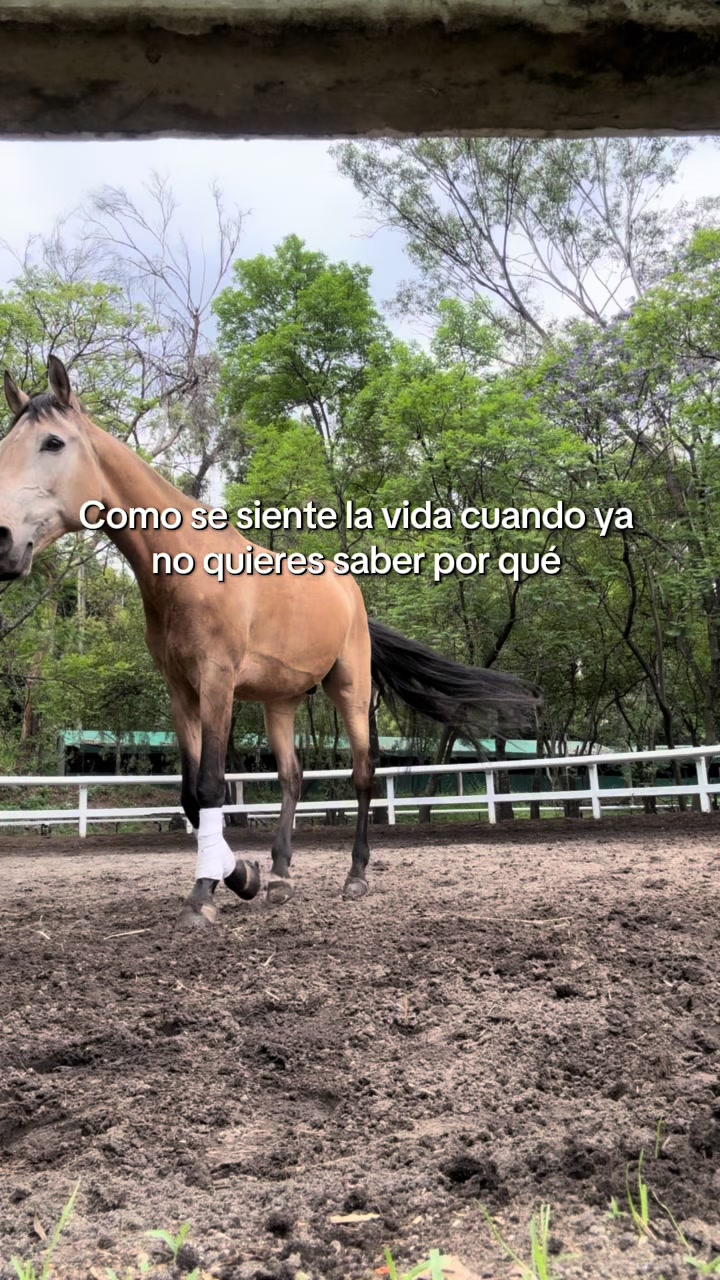 @: