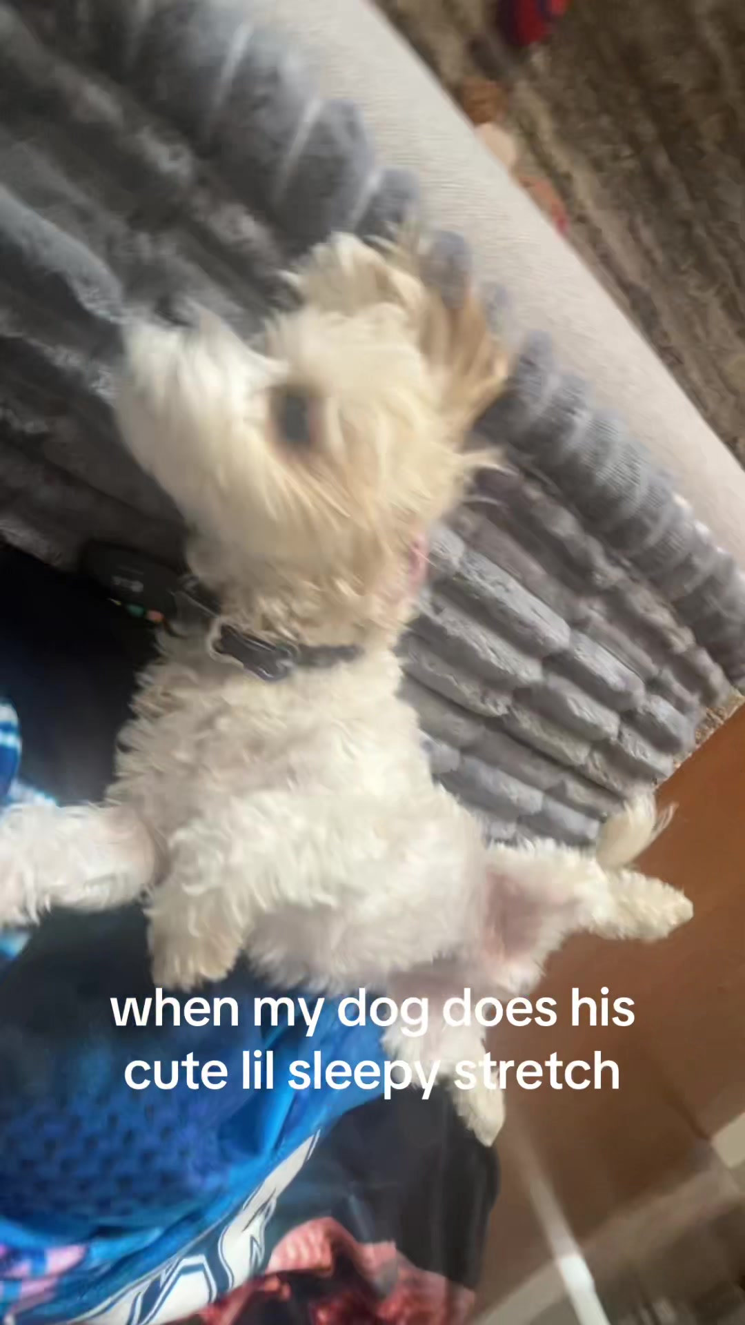 @ratssackkkk