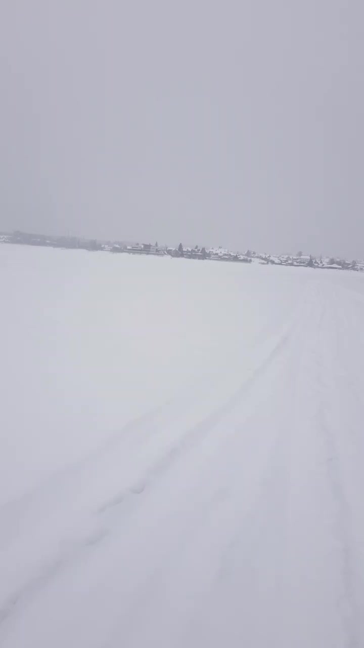 @xanaxł