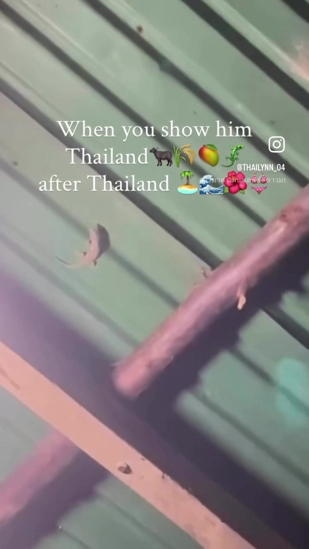 @Thailynn