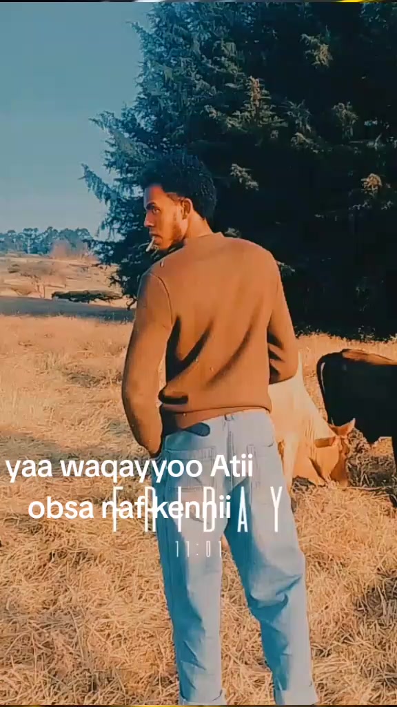 @iftiyom Abbabaa