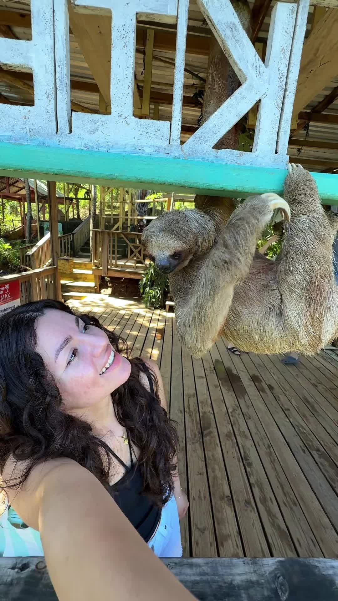 @🌸Funny Animals 🌸