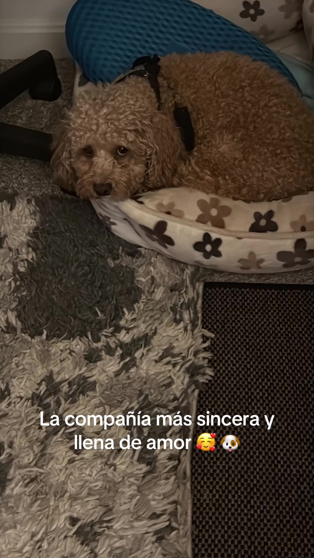 @pattycastillot