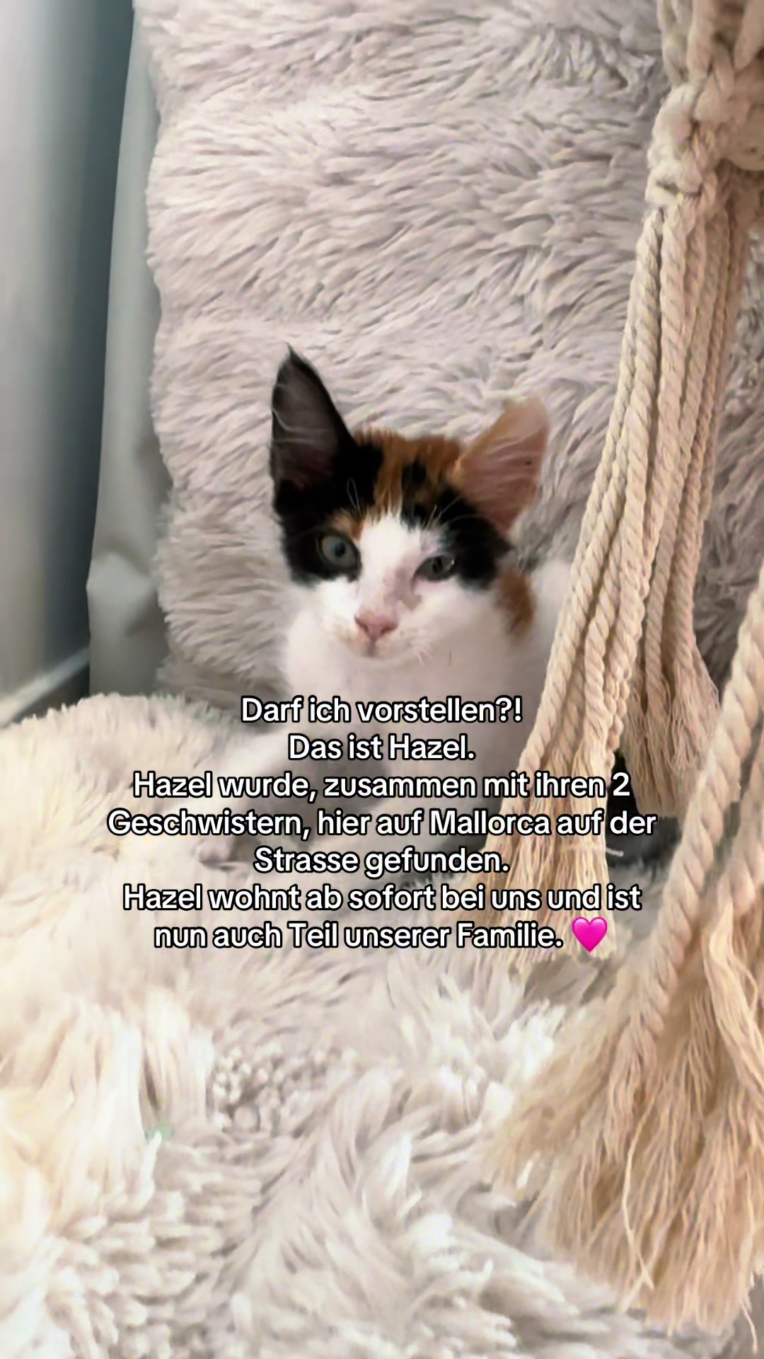 @Anne Wünsche