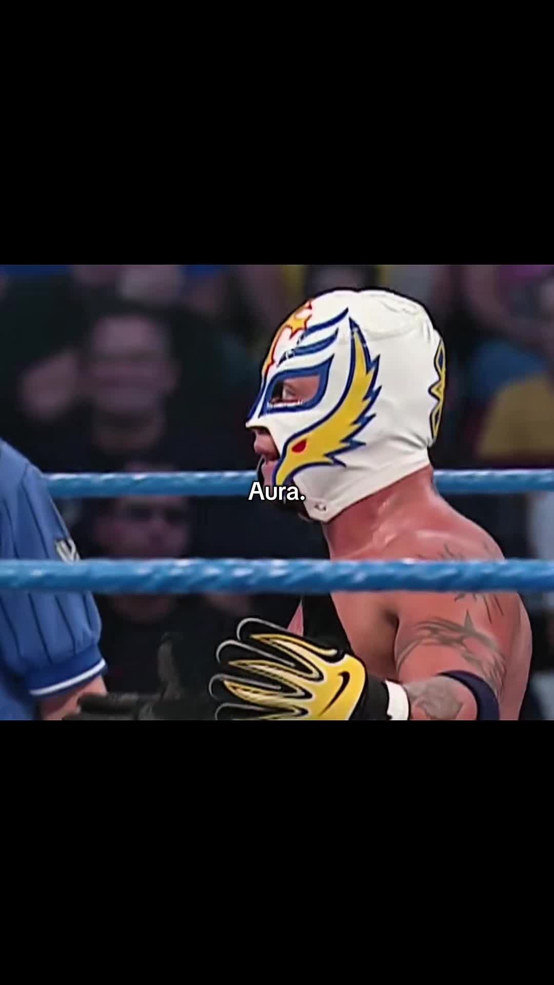 @Visionary_wrestler