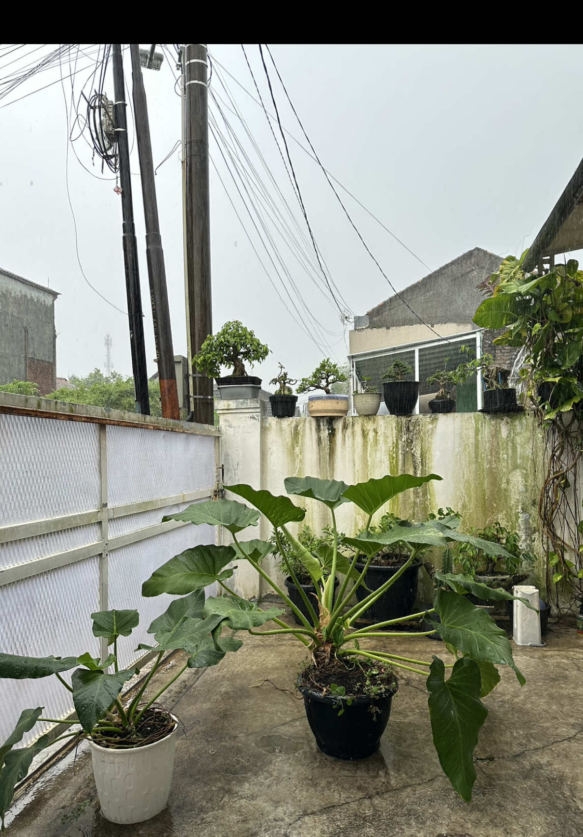 @putri.sinta2010