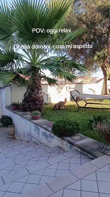 @Momenti Deliziosi