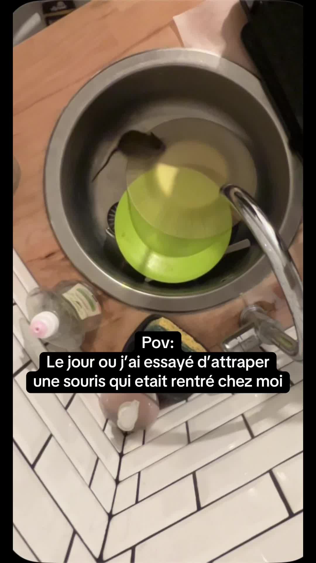 @Le A