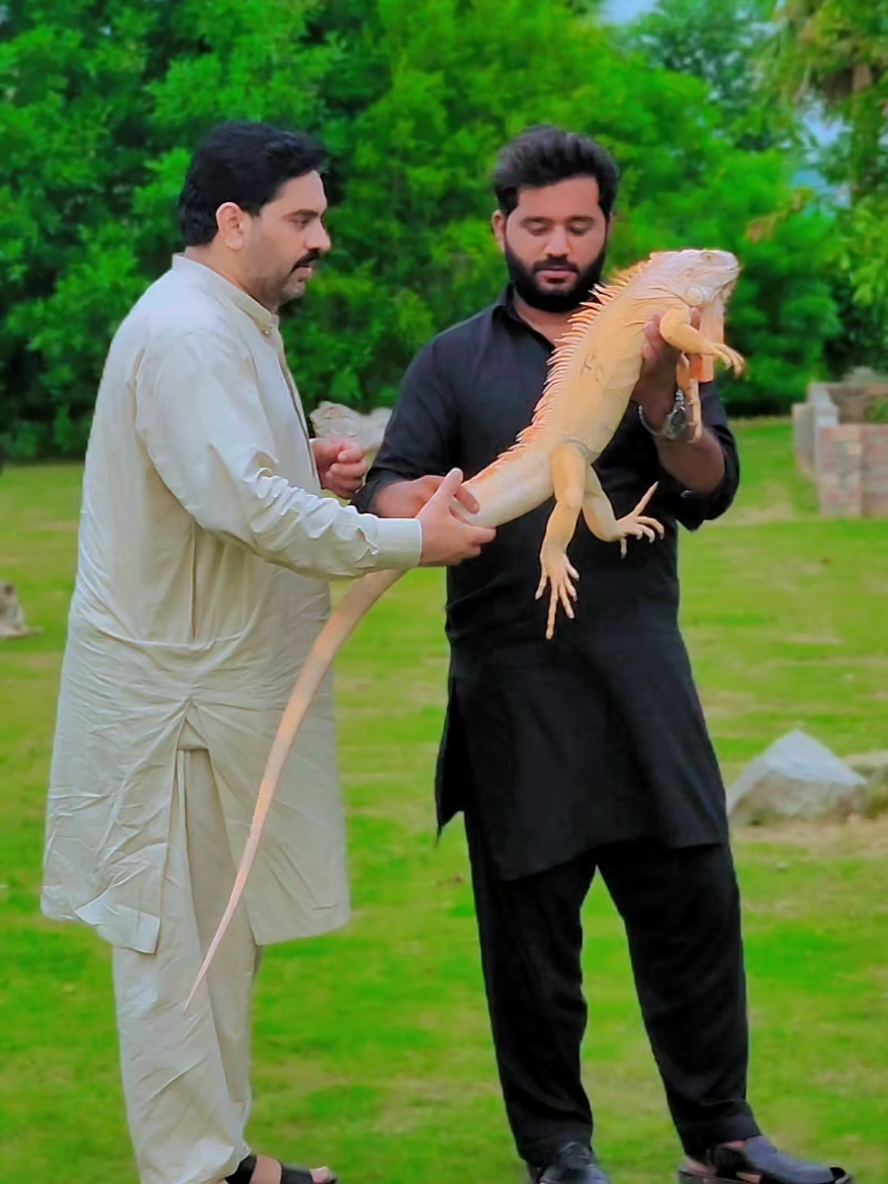 @RehAn