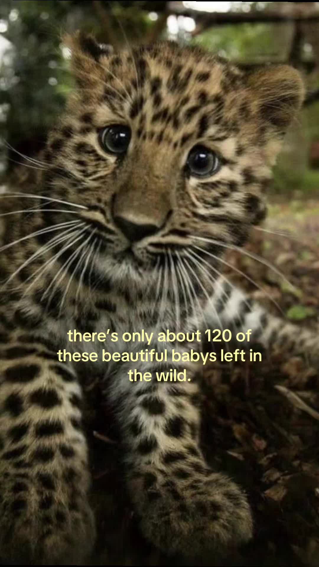 @oneearthh1