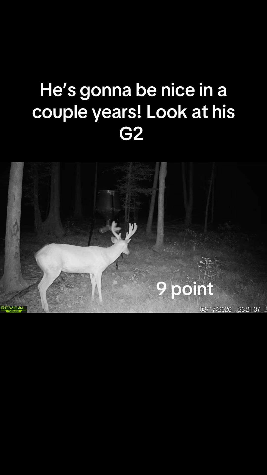 @Toi Batton_GIGI_WTBuckOutdoors